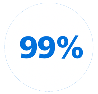 Ic&ocirc;ne 99&nbsp;%