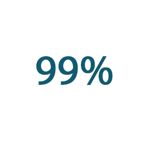 Ic&ocirc;ne 99&nbsp;%
