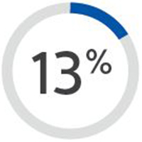 13 % ic&ocirc;ne