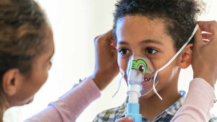 Tucker&nbsp;the&nbsp;turtle