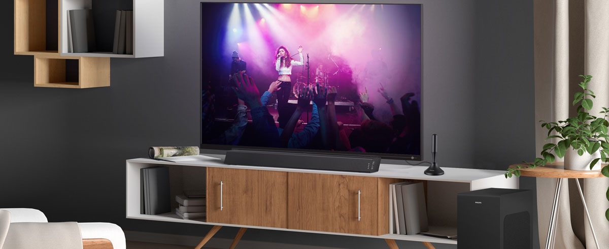 Salon moderne avec t&eacute;l&eacute;viseur, accessoires assortis et mobilier &eacute;l&eacute;gant