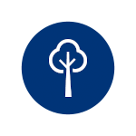 Ic&ocirc;ne &Eacute;cologique