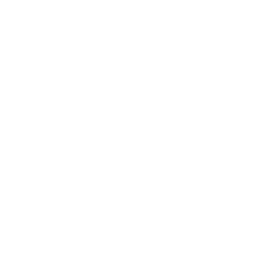 ic&ocirc;ne vid&eacute;o