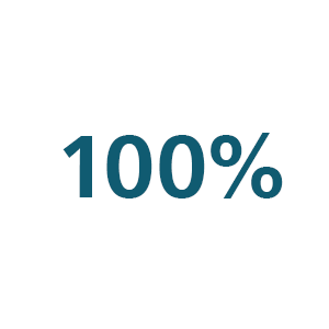 Ic&ocirc;ne 100&nbsp;%