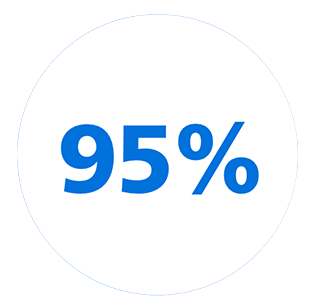 Ic&ocirc;ne 95&nbsp;%