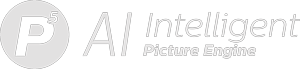 Logo Picture&nbsp;Engine