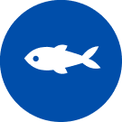 Ic&ocirc;ne &laquo;&nbsp;Poisson&nbsp;&raquo;