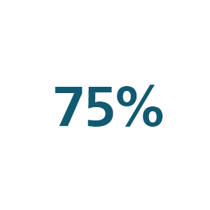 Ic&ocirc;ne 75&nbsp;%