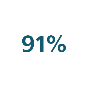 Ic&ocirc;ne 91&nbsp;%
