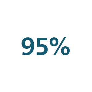 Ic&ocirc;ne 95&nbsp;%