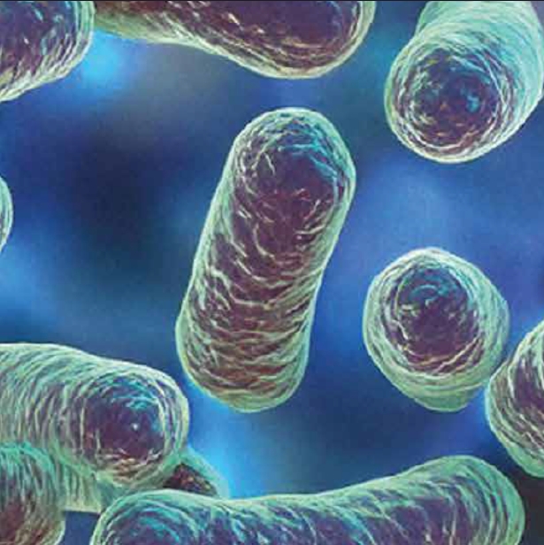 Microbiotes light