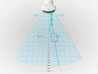 shear wave