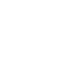 abdomen image