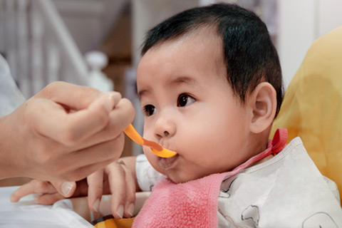 La diversification alimentaire de b&eacute;b&eacute;